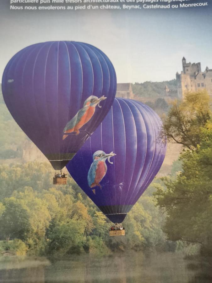 La Borie Du Bois Sarlat Bed & Breakfast Saint-Andre-d'Allas Екстериор снимка